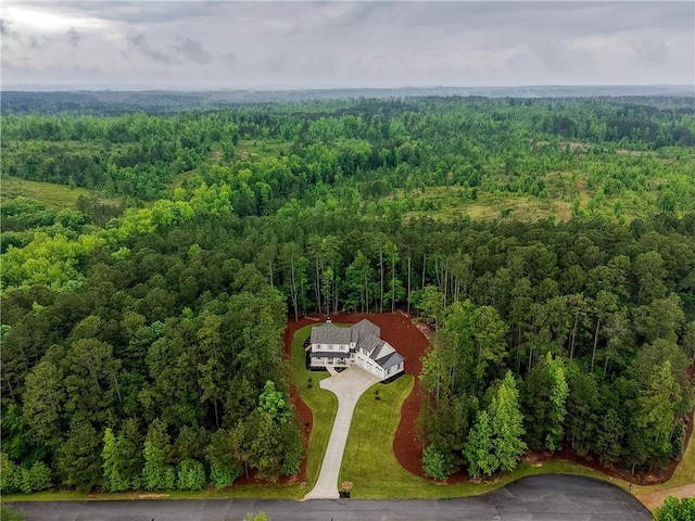 aerial view of a forest
