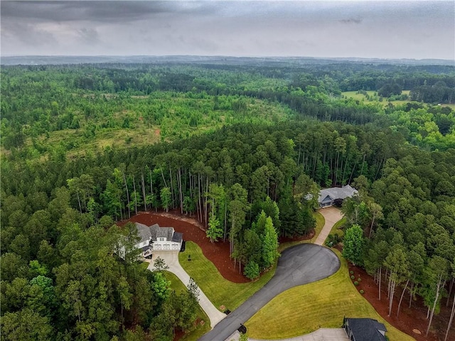 bird's eye view of a forest