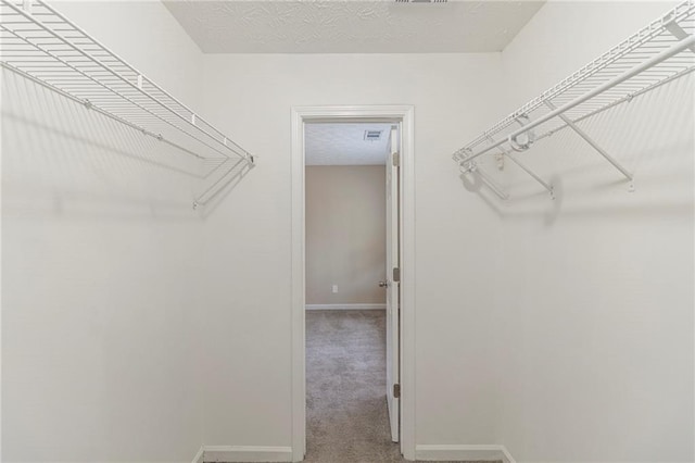 walk in closet featuring carpet and visible vents