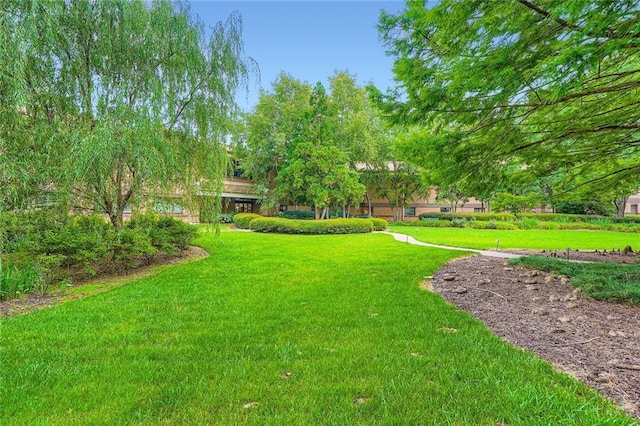 1800 Clairmont Lk Unit A310, Decatur, GA 30033 - view of green lawn