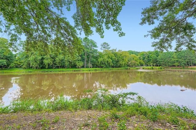 1800 Clairmont Lk Unit A310, Decatur, GA 30033 - water view featuring a forest