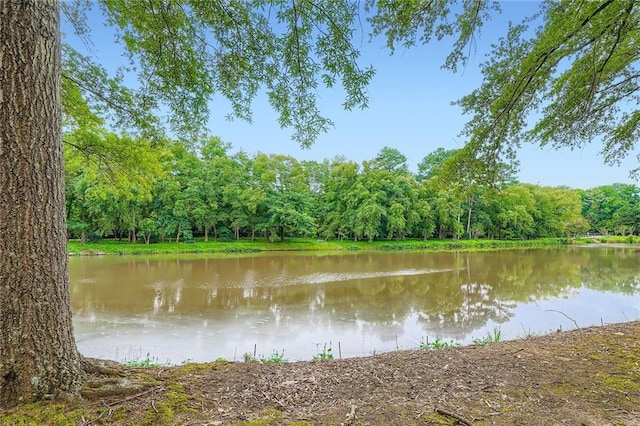 1800 Clairmont Lk Unit A310, Decatur, GA 30033 - water view with a forest