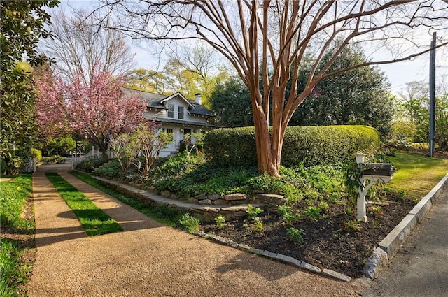 202 Lakeview Ave, Atlanta, GA 30305 - exterior space