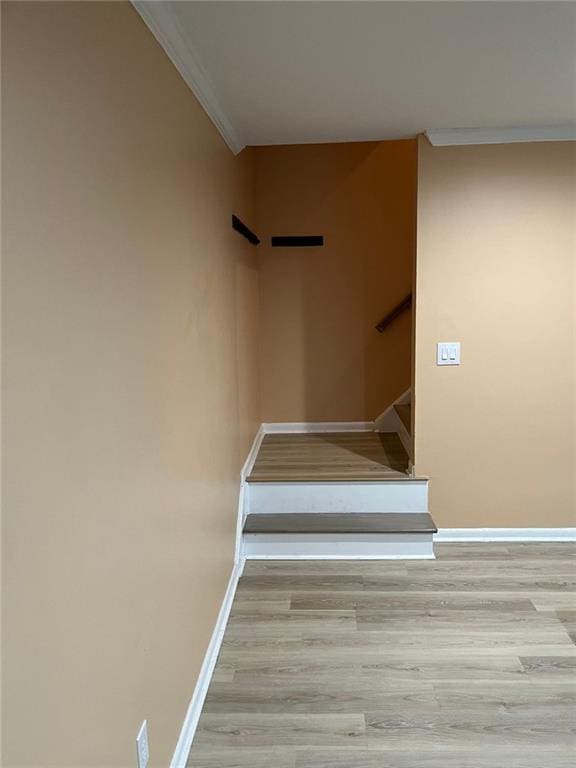 stairs featuring light hardwood / wood-style flooring