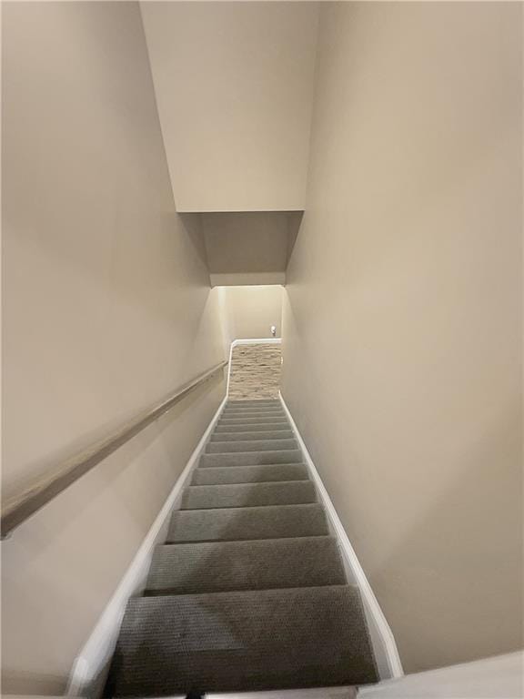 staircase with carpet floors