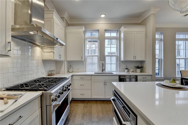 kitchen with wall chimney exhaust hood, appliances with stainless steel finishes, sink, and backsplash