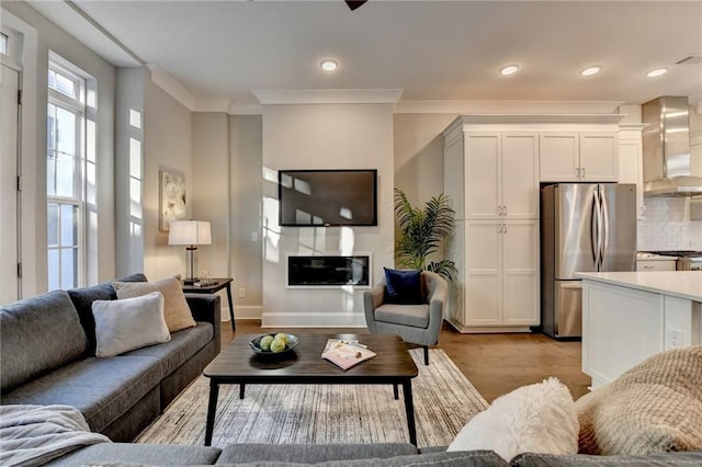 living room featuring crown molding and light hardwood / wood-style flooring