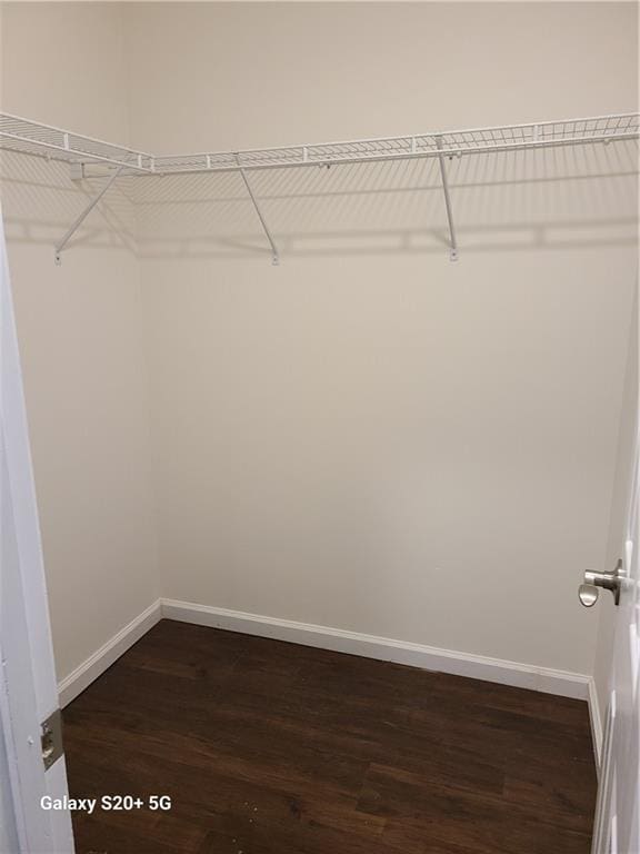 303 Tara Commons Cir, Loganville, GA 30052 - walk in closet featuring dark wood-type flooring