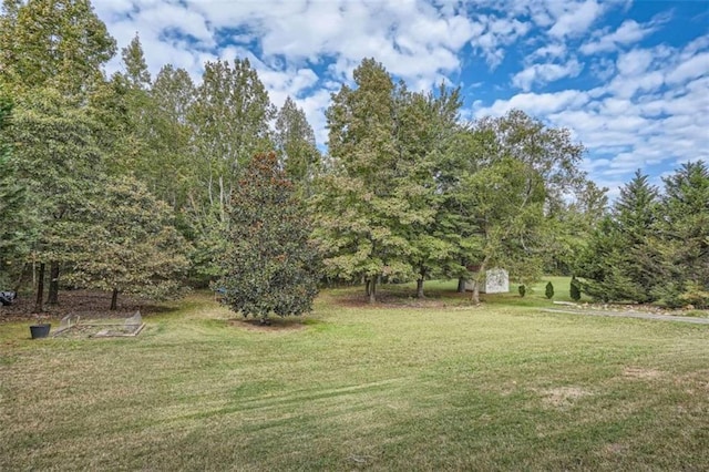 view of yard with a storage shed