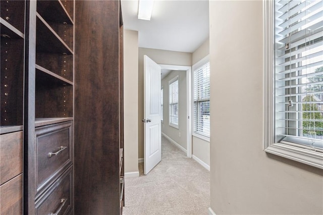 walk in closet with light colored carpet