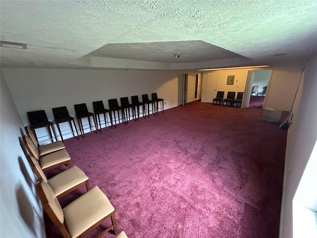 5546 Wellborn Creek Dr, Lithonia, GA 30058 - below grade area featuring a textured ceiling and carpet flooring