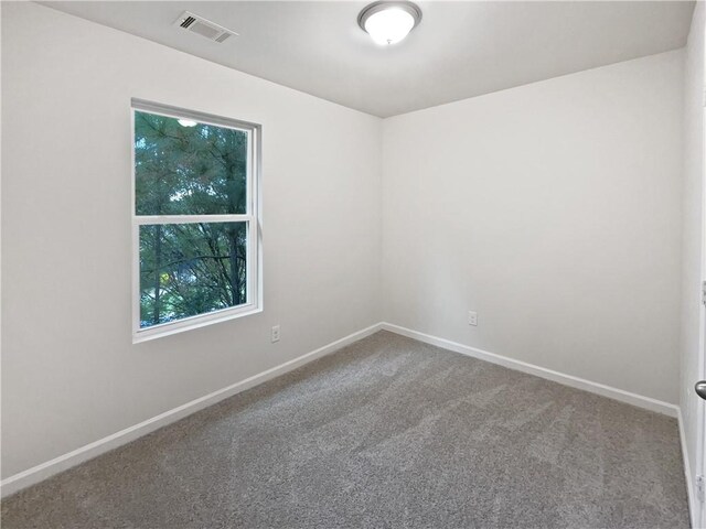 spare room featuring carpet and plenty of natural light