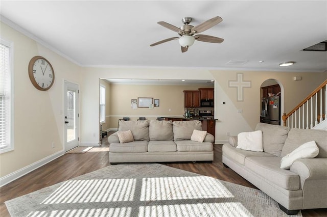 living room with crown molding, dark wood-type flooring, ceiling fan, and plenty of natural light