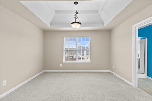 3039 Tuscan Ridge Dr, Snellville, GA 30039 - spare room with a raised ceiling, light colored carpet, and baseboards