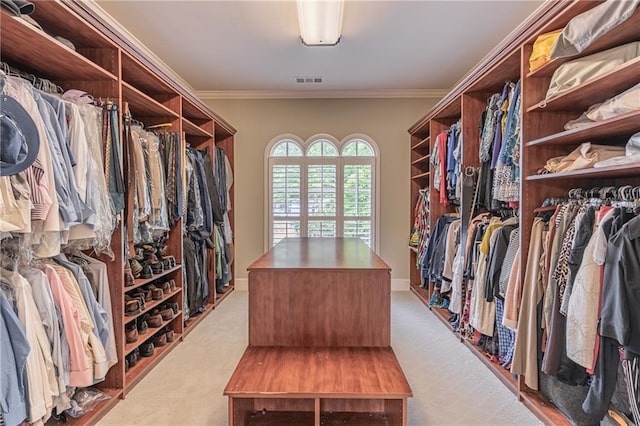 spacious closet with light colored carpet