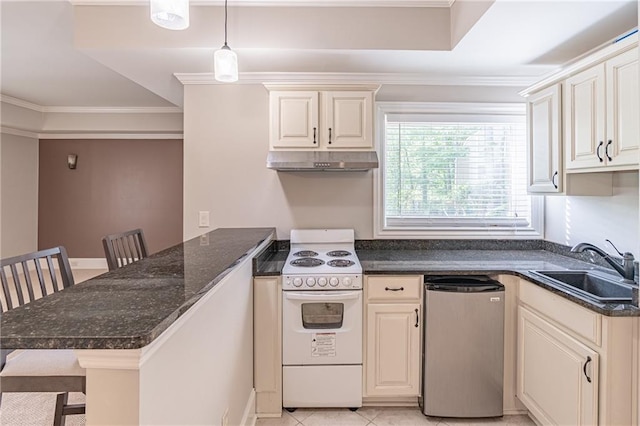 kitchen featuring electric stove, a sink, dishwasher, a peninsula, and under cabinet range hood