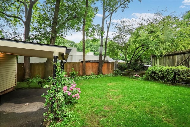 728 Antone St NW, Atlanta, GA 30318 - view of yard with a carport