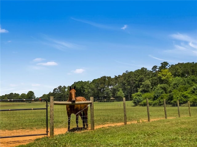 view of yard with a rural view