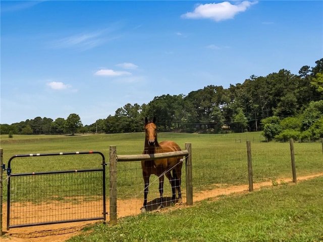 surrounding community with a yard and a rural view