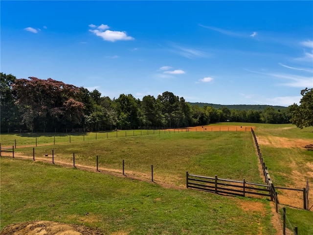 view of yard featuring a rural view