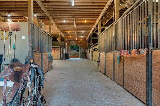 view of horse barn