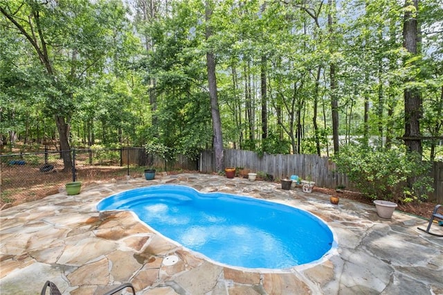 view of swimming pool with a fenced backyard and a patio area