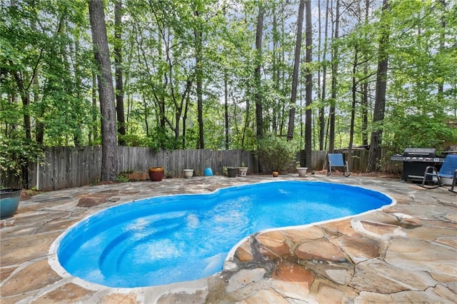 view of pool featuring grilling area, a fenced backyard, and a patio area