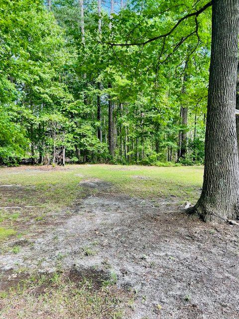 view of yard featuring a wooded view