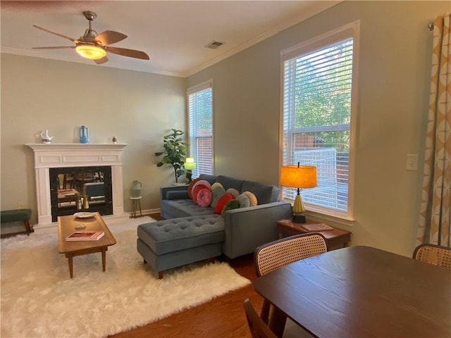 living area featuring visible vents, ornamental molding, a fireplace with raised hearth, and a wealth of natural light