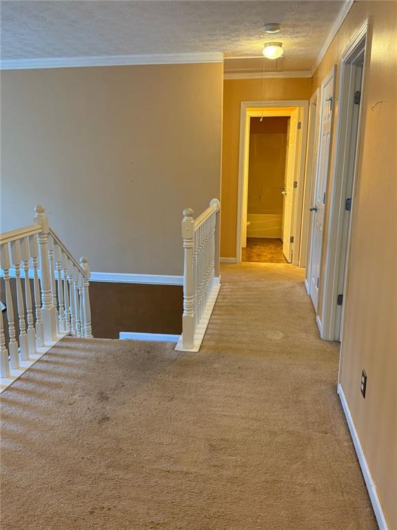 corridor with light carpet, a textured ceiling, and crown molding