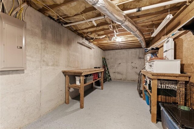 unfinished basement with electric panel