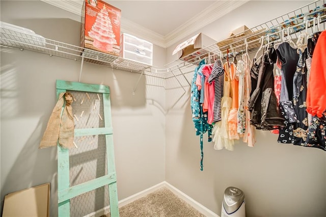 spacious closet with carpet