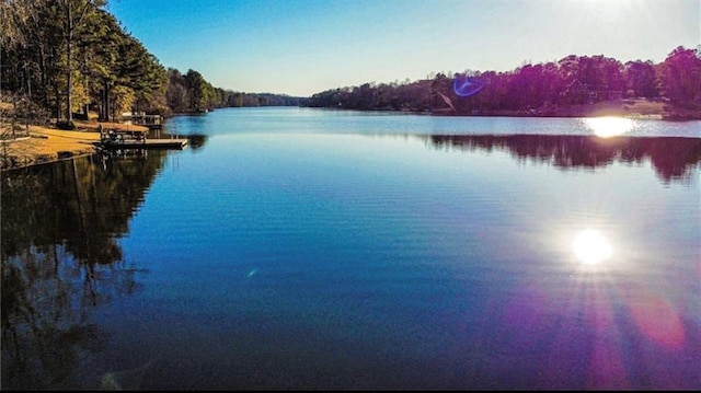 water view with a forest view