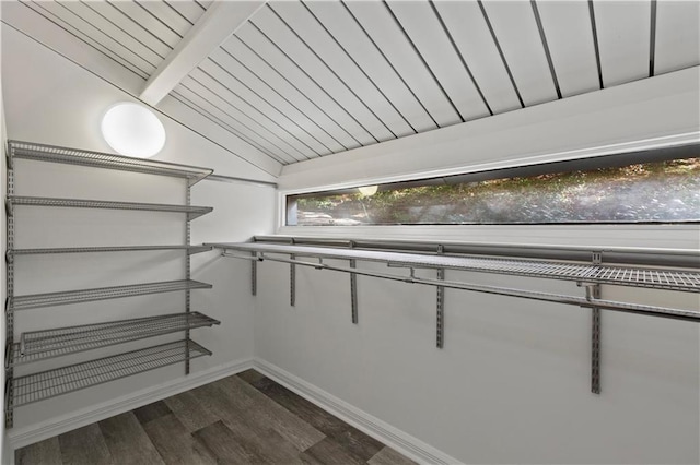 spacious closet with dark hardwood / wood-style floors and lofted ceiling with beams