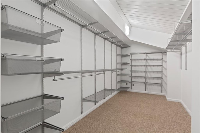 walk in closet with light colored carpet