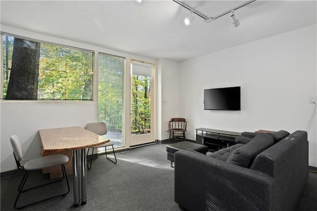 living room featuring rail lighting, a healthy amount of sunlight, and carpet flooring