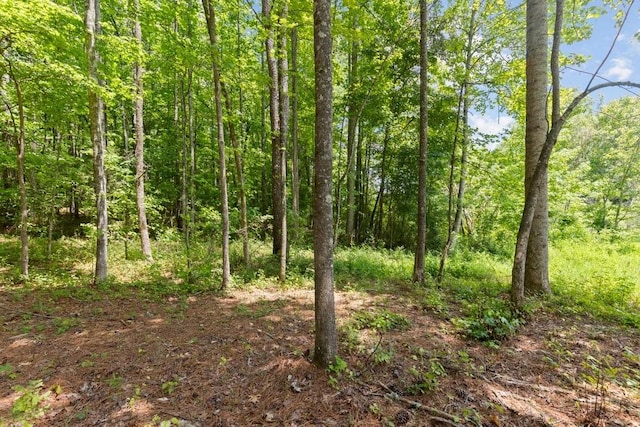4705 Sewell Rd, Cumming, GA 30028