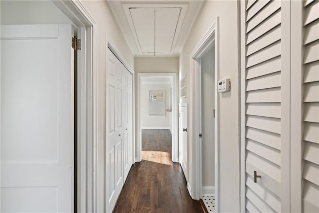 corridor with dark hardwood / wood-style floors