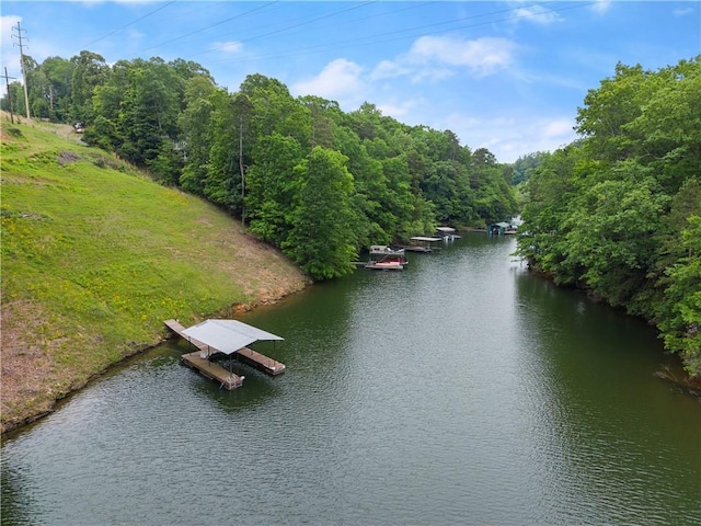 2109 Pine Tree Cir, Gainesville, GA 30501 - water view with a boat dock