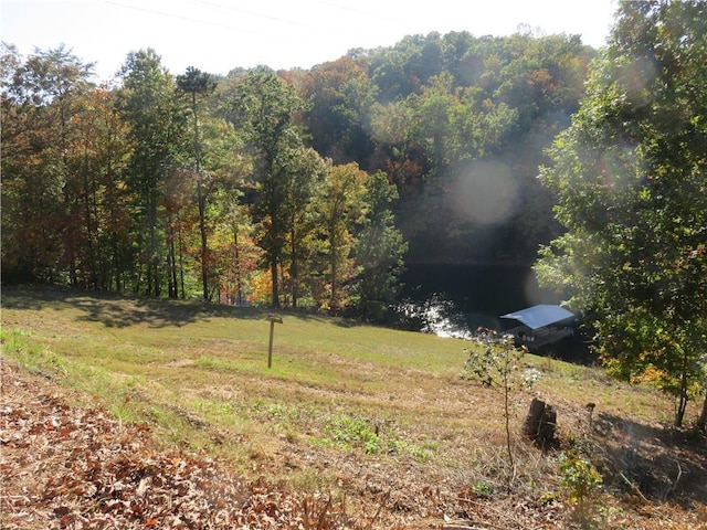 view of yard featuring a wooded view