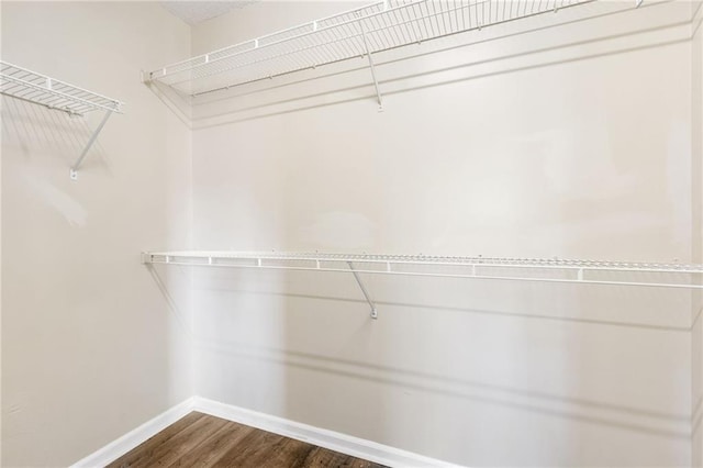 walk in closet with dark wood-type flooring