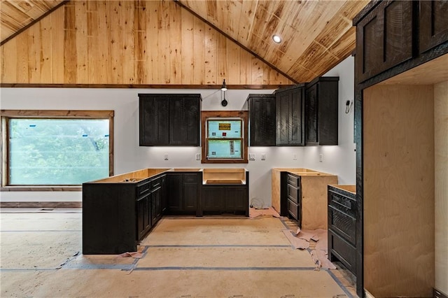 LOT40 Staurolite Mtn, Blue Ridge, GA 30513 - kitchen featuring lofted ceiling, dark cabinetry, and wooden ceiling