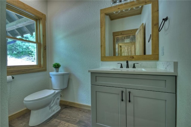 bathroom with vanity, wood-type flooring, and toilet