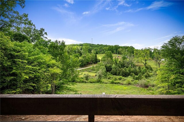 LOT40 Staurolite Mtn, Blue Ridge, GA 30513 - view of yard with a wooded view