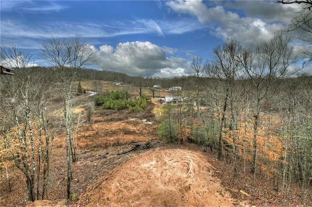 view of local wilderness