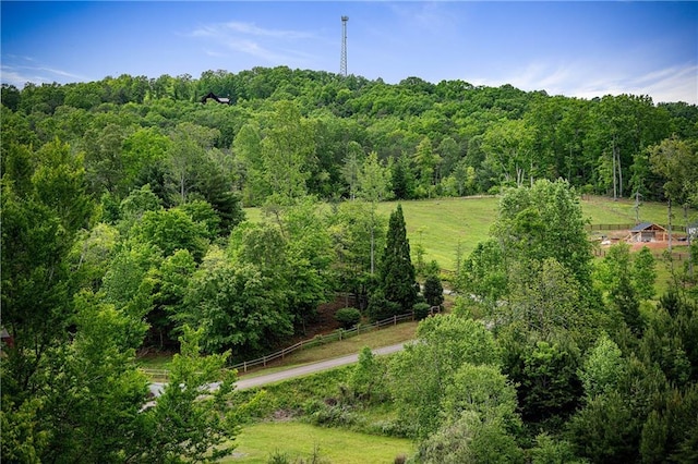 LOT40 Staurolite Mtn, Blue Ridge, GA 30513 - drone / aerial view of a heavily wooded area