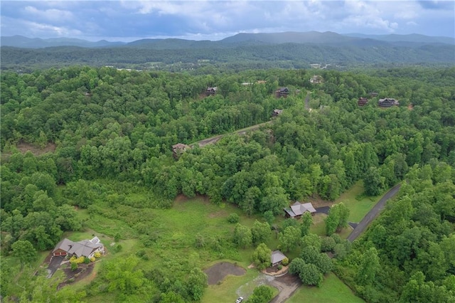 birds eye view of property featuring a mountain view