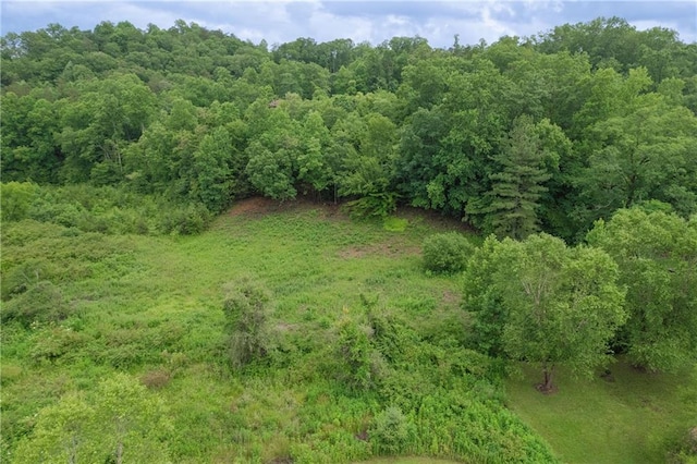 view of landscape