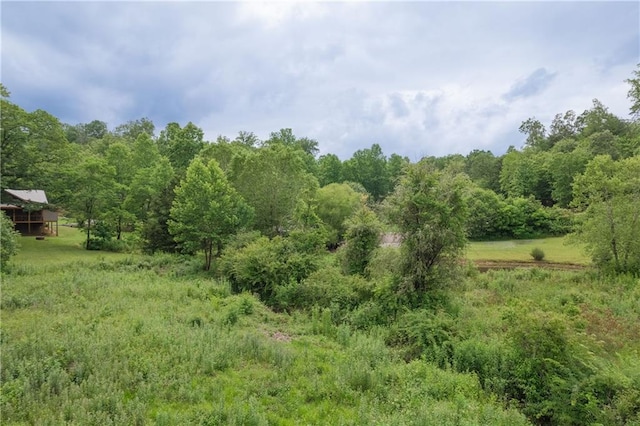 view of nature featuring a rural view