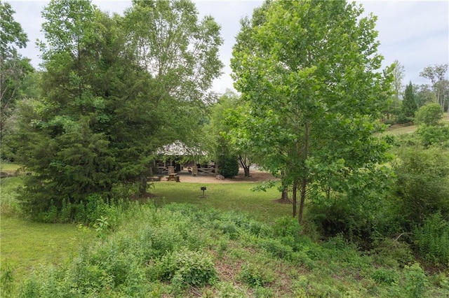 view of yard featuring a rural view